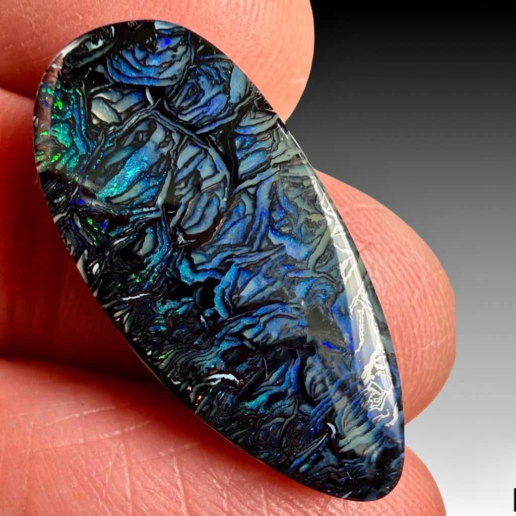 Koroit Opal 13 x 27