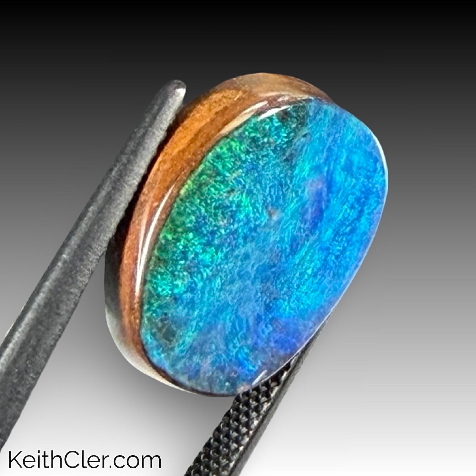 Boulder Opal 12 x 15
