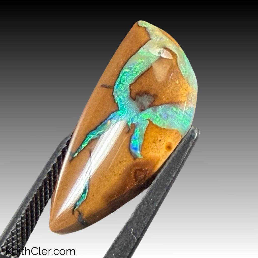 Koroit Opal 10 x 22