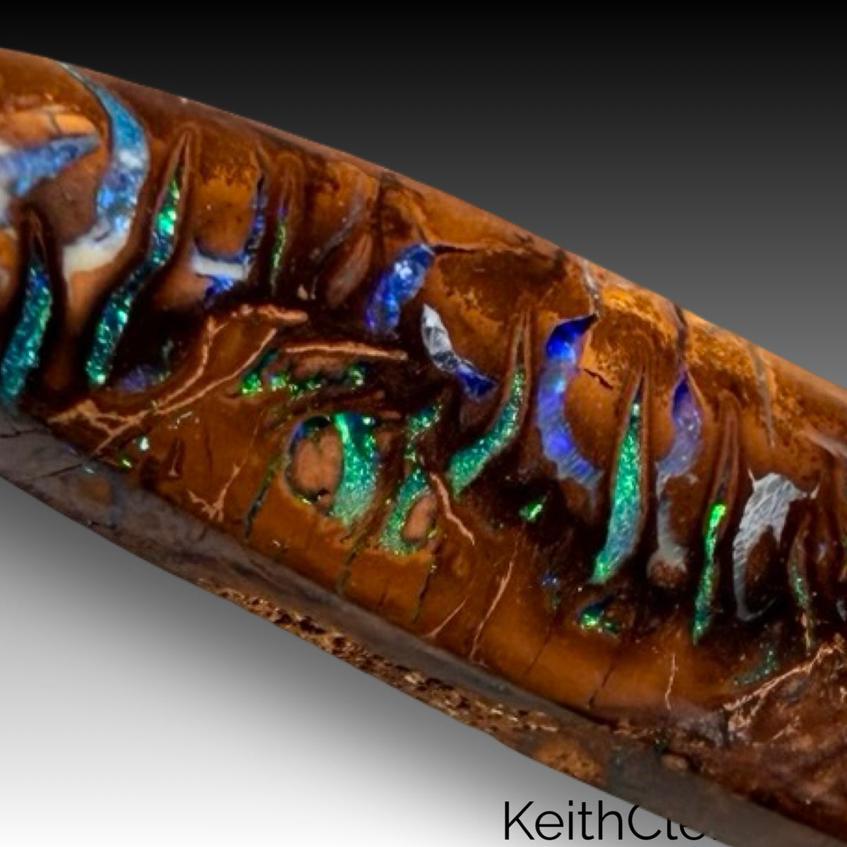 Koroit Opal 8 x 37