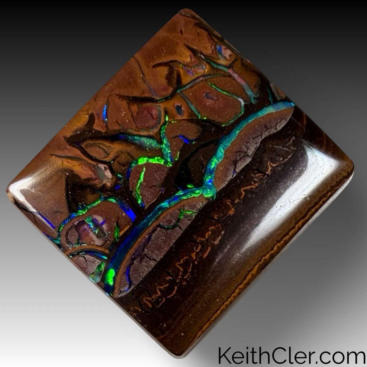 Koroit Opal 15 x 17