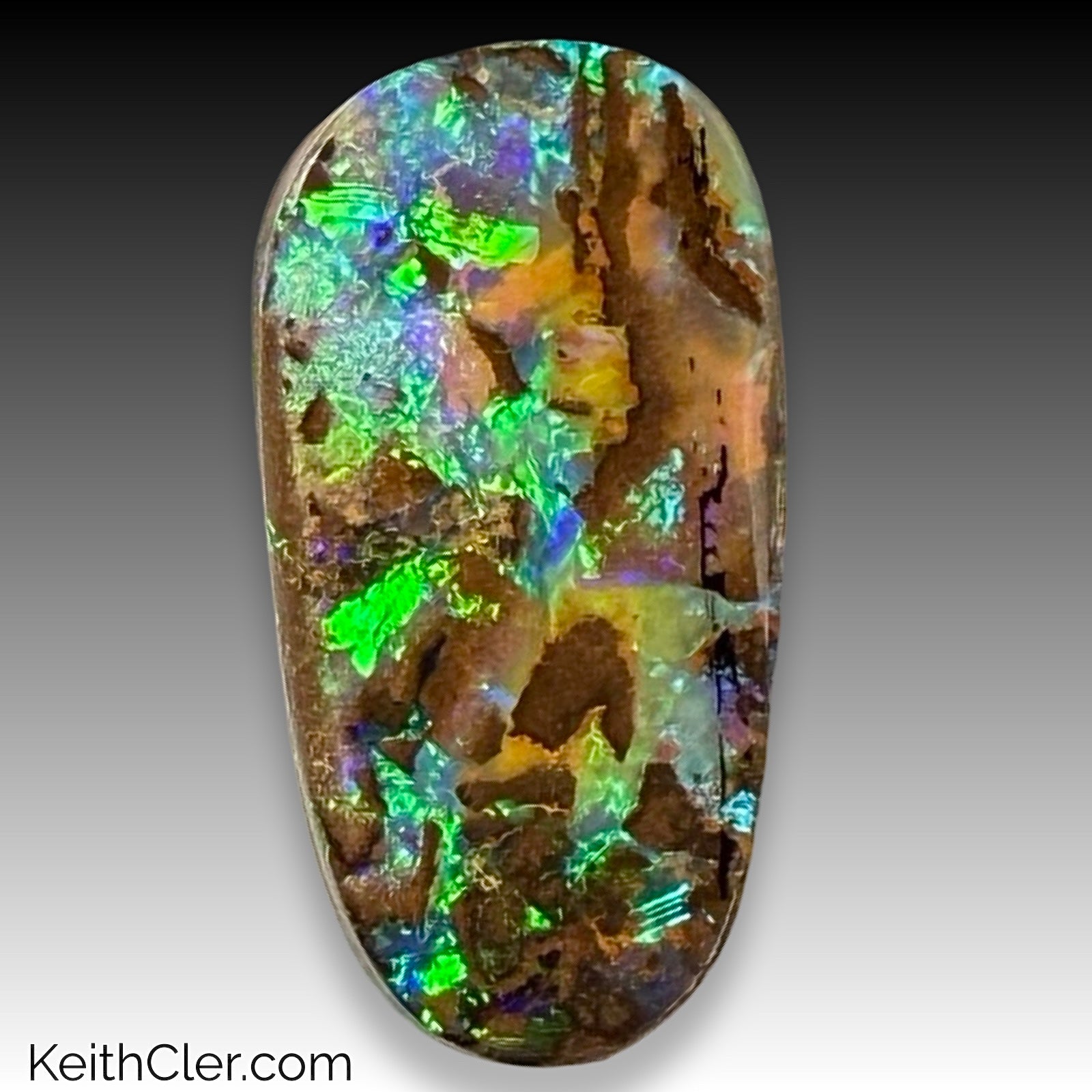 Boulder Opal 11 x 21