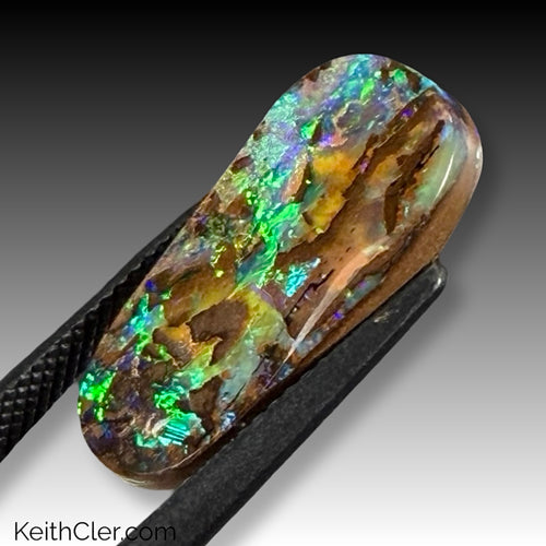 Boulder Opal 11 x 21