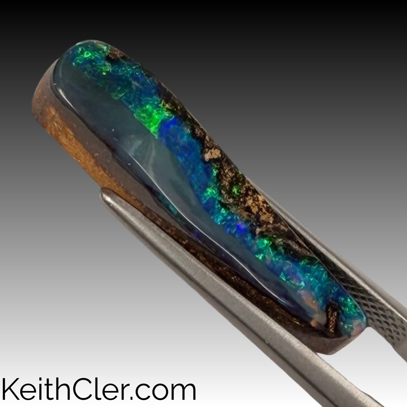 Boulder Opal 6.5 x 25