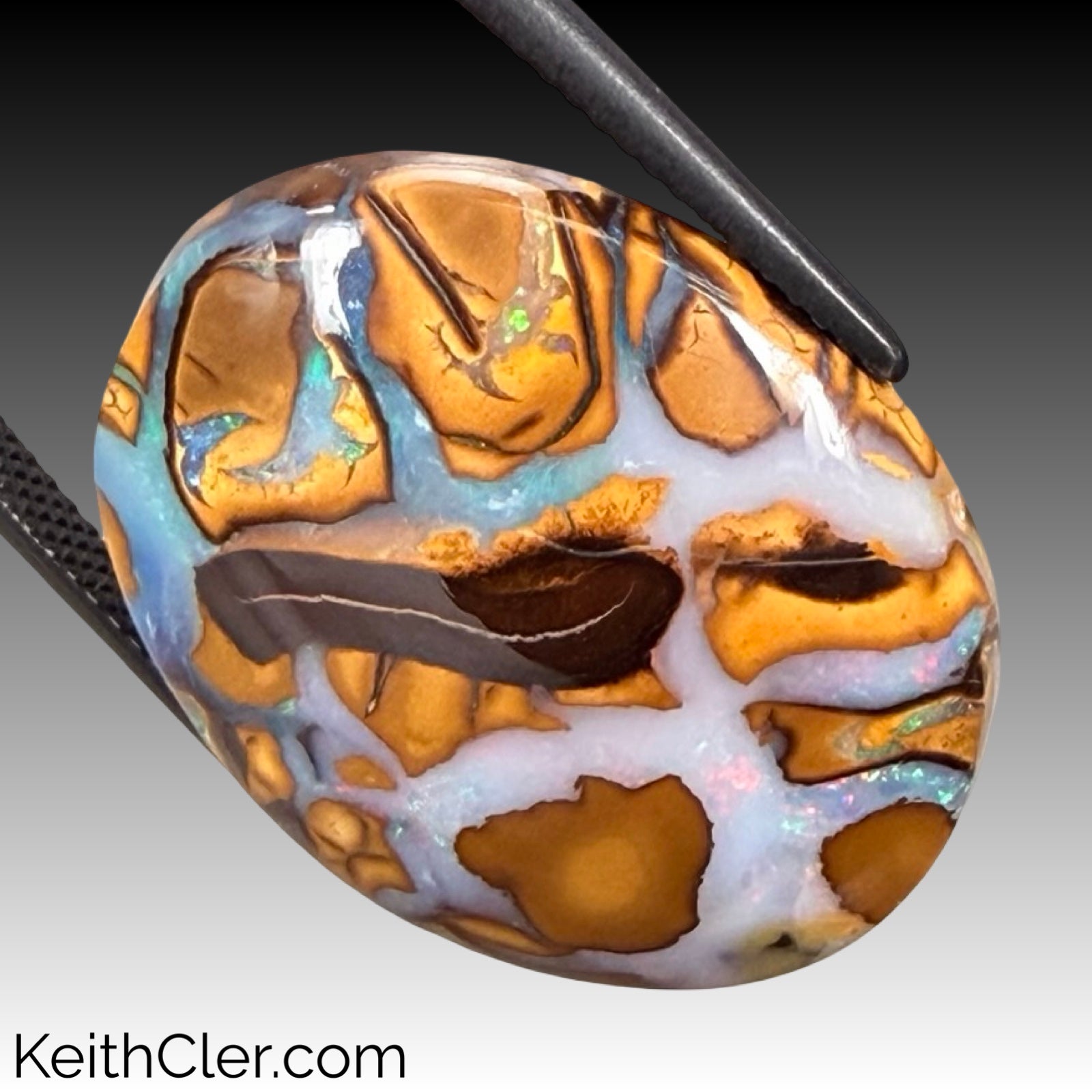 Koroit Opal 21 x 26