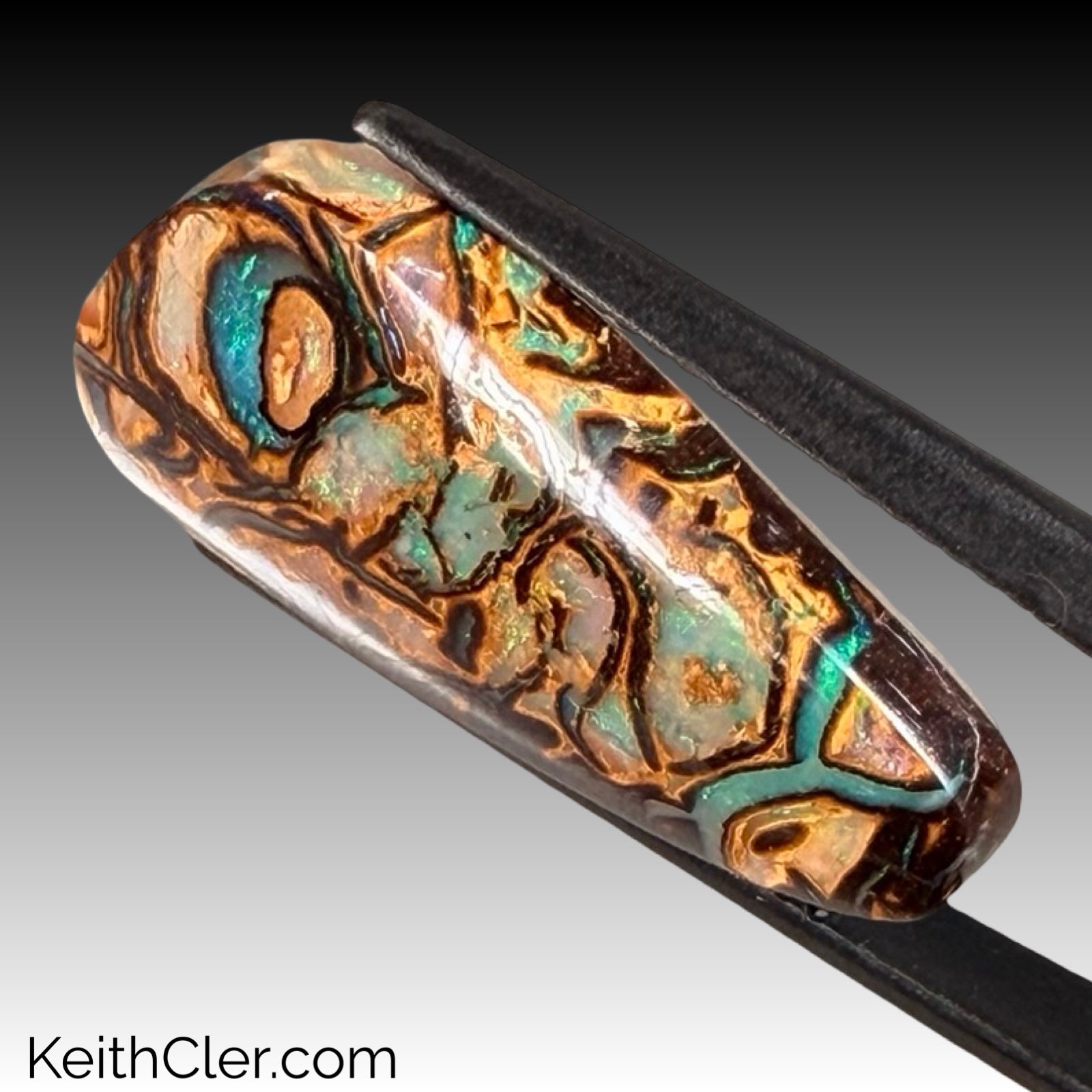 Koroit Opal 12 x 25