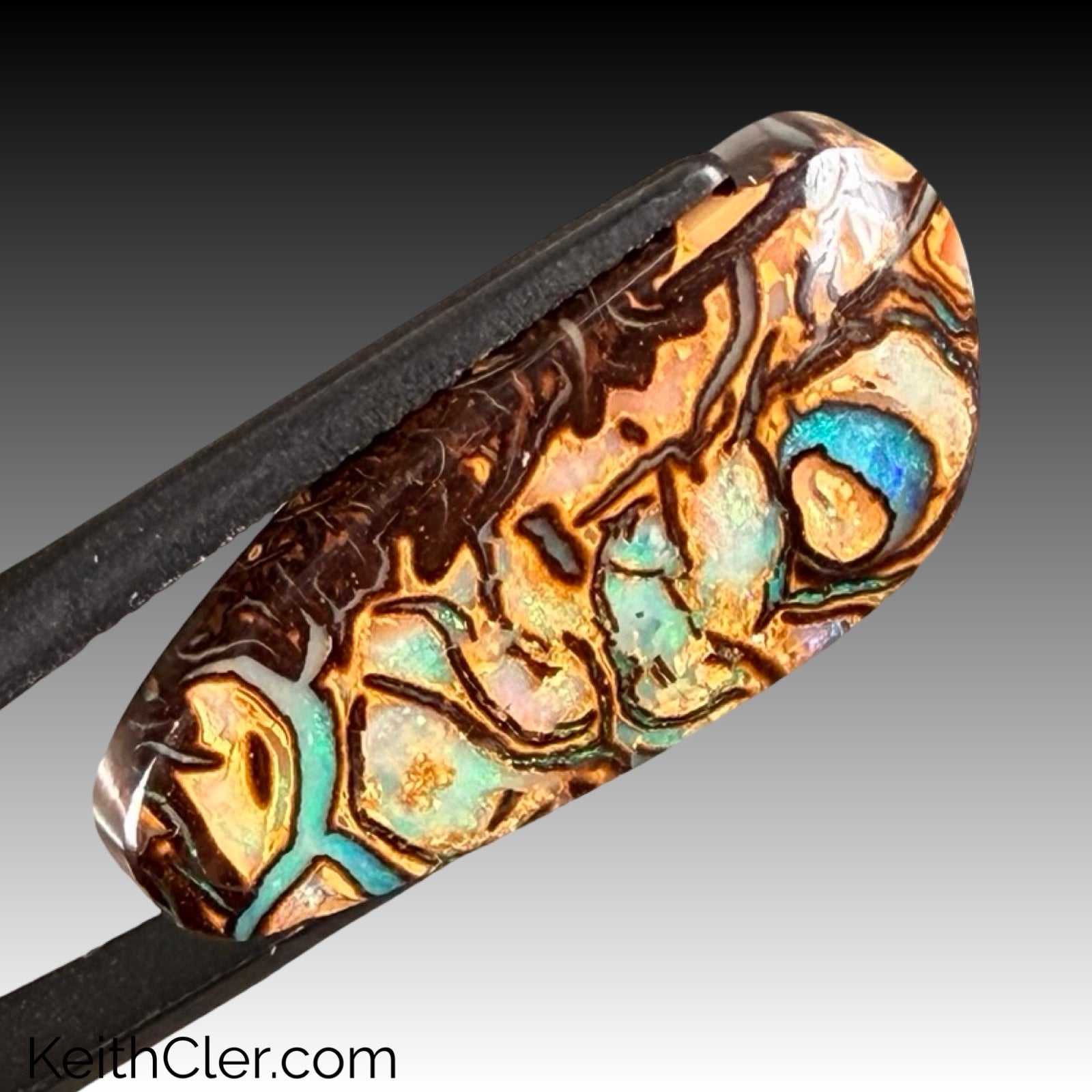 Koroit Opal 12 x 25