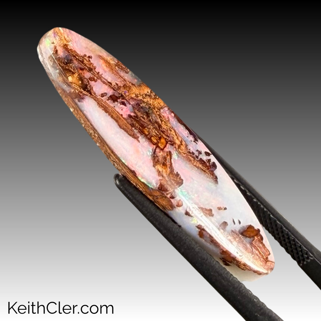 Boulder Opal 8 x 31