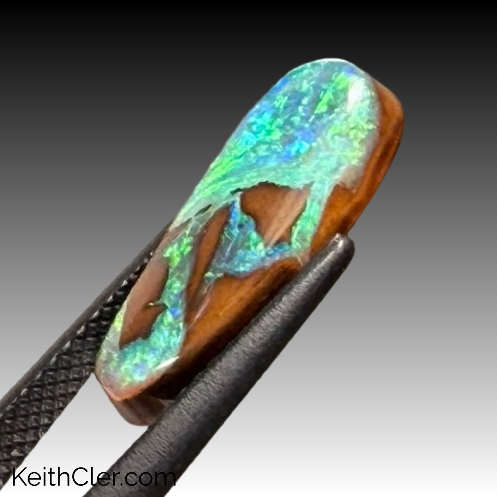 Boulder Opal 7 x 17
