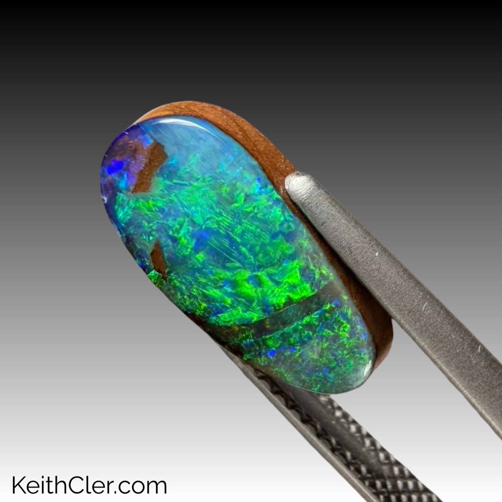 “Smaller” Boulder Opal 7 x 13