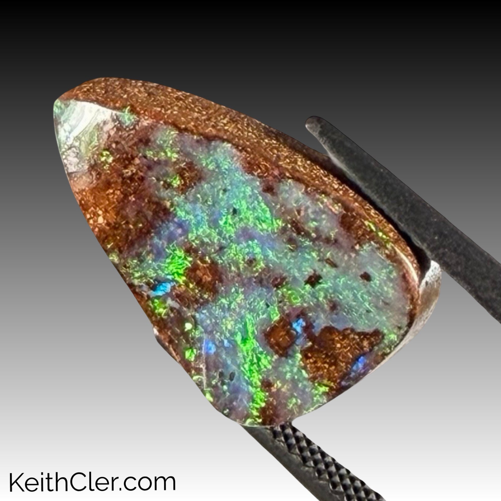 Boulder Opal 12 x 18