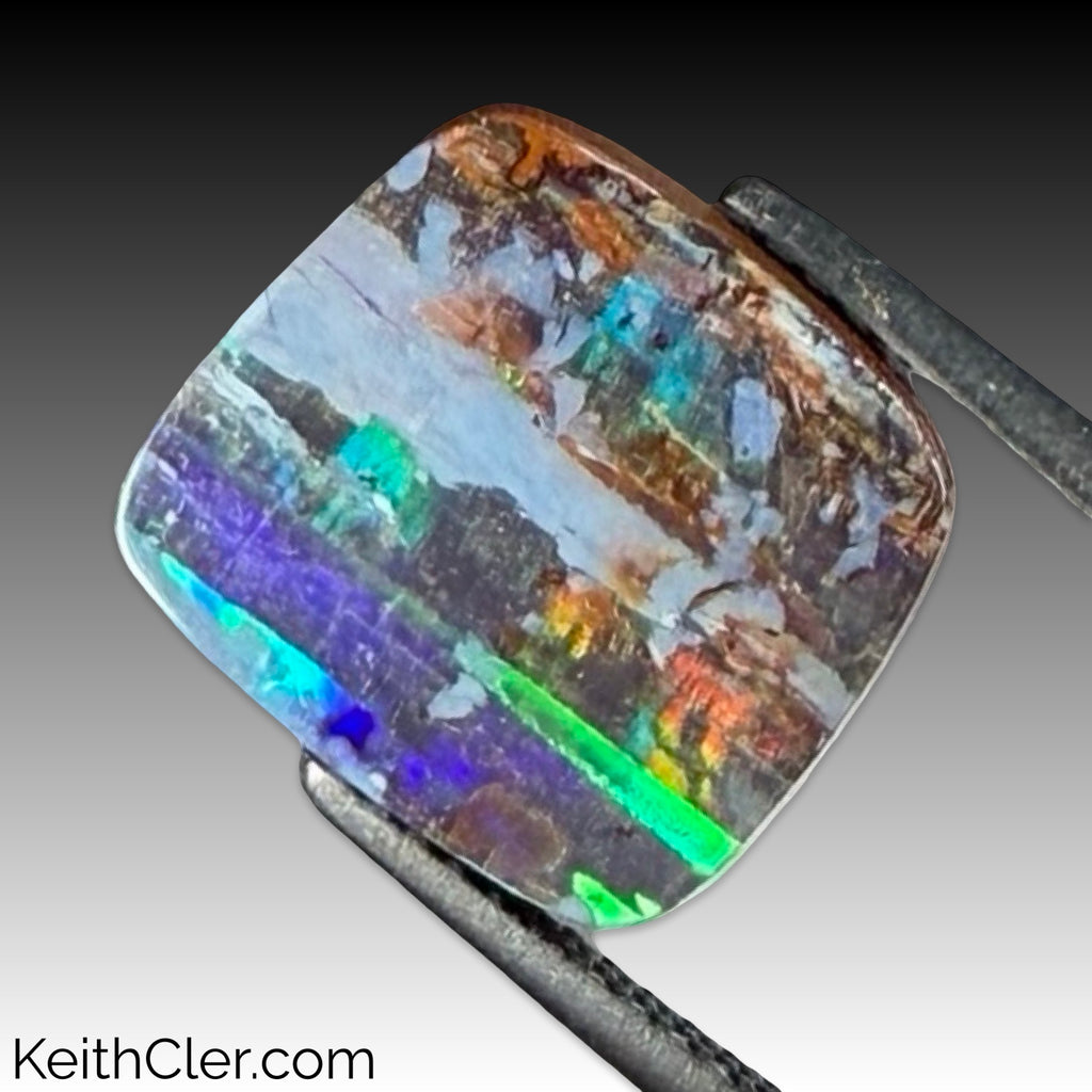Boulder Opal 12 x 13