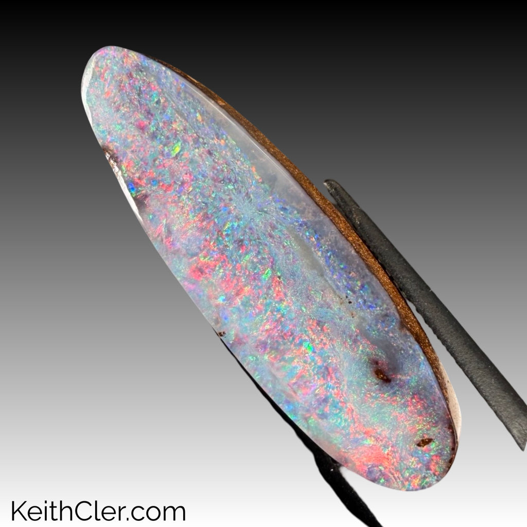 Boulder Opal 10 x 33