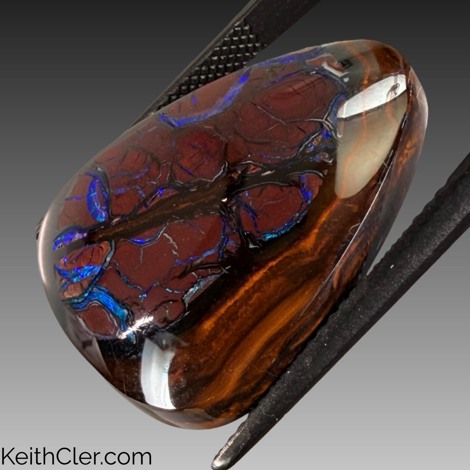 Koroit Opal 20 x 24
