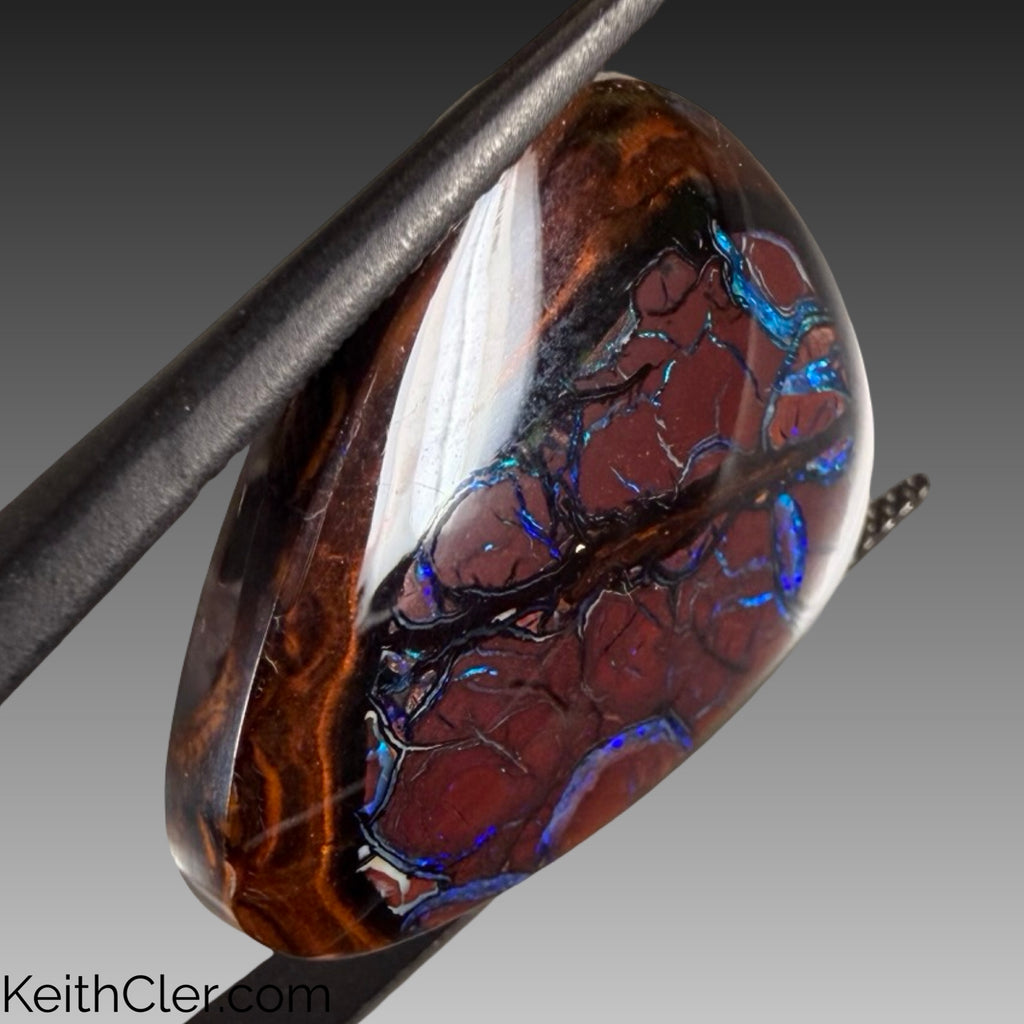 Koroit Opal 20 x 24