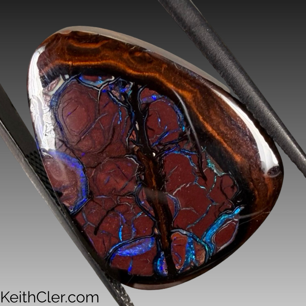 Koroit Opal 20 x 24