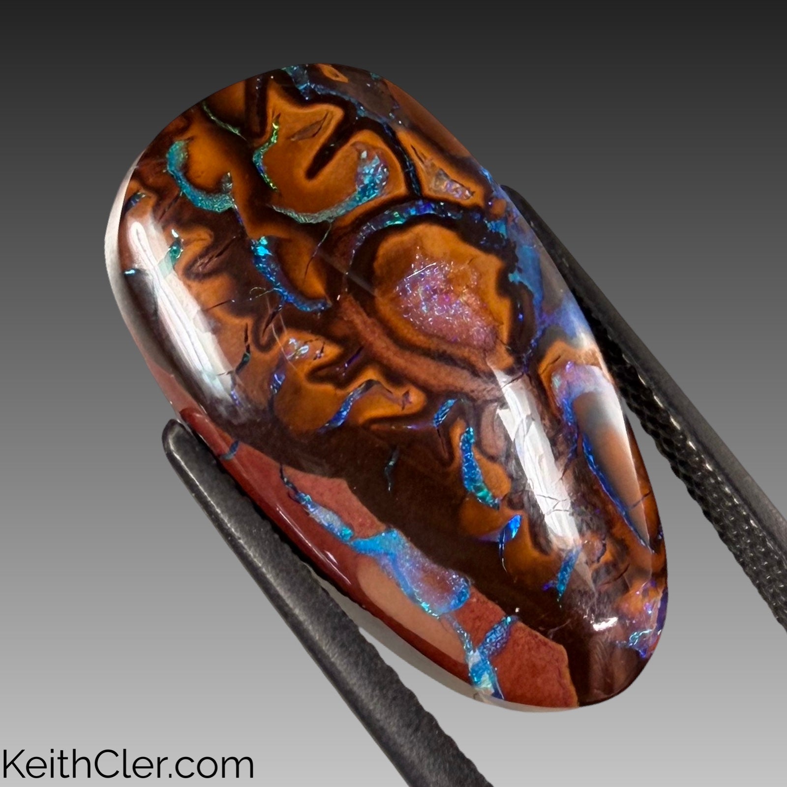 Koroit Opal 12 x 22