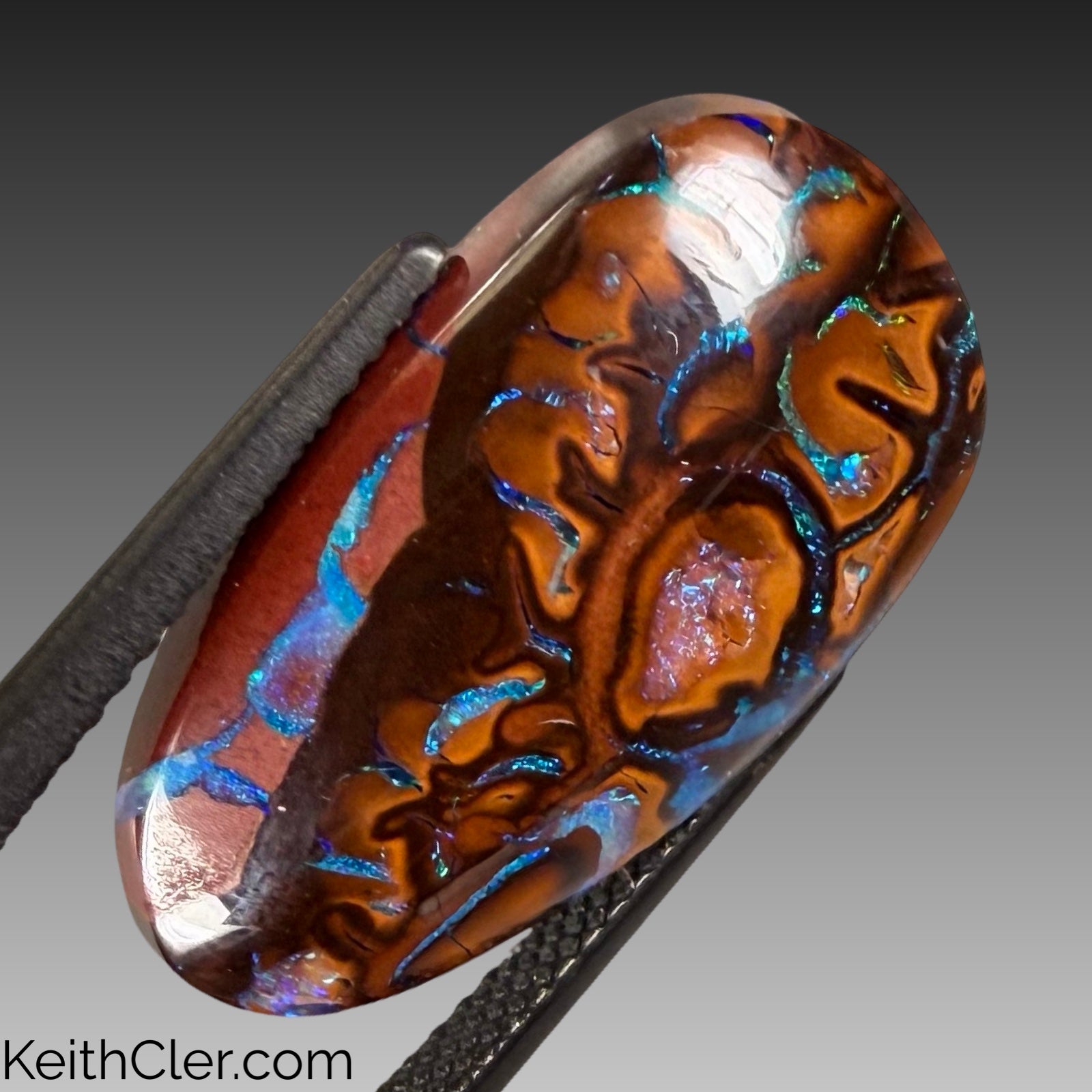 Koroit Opal 12 x 22