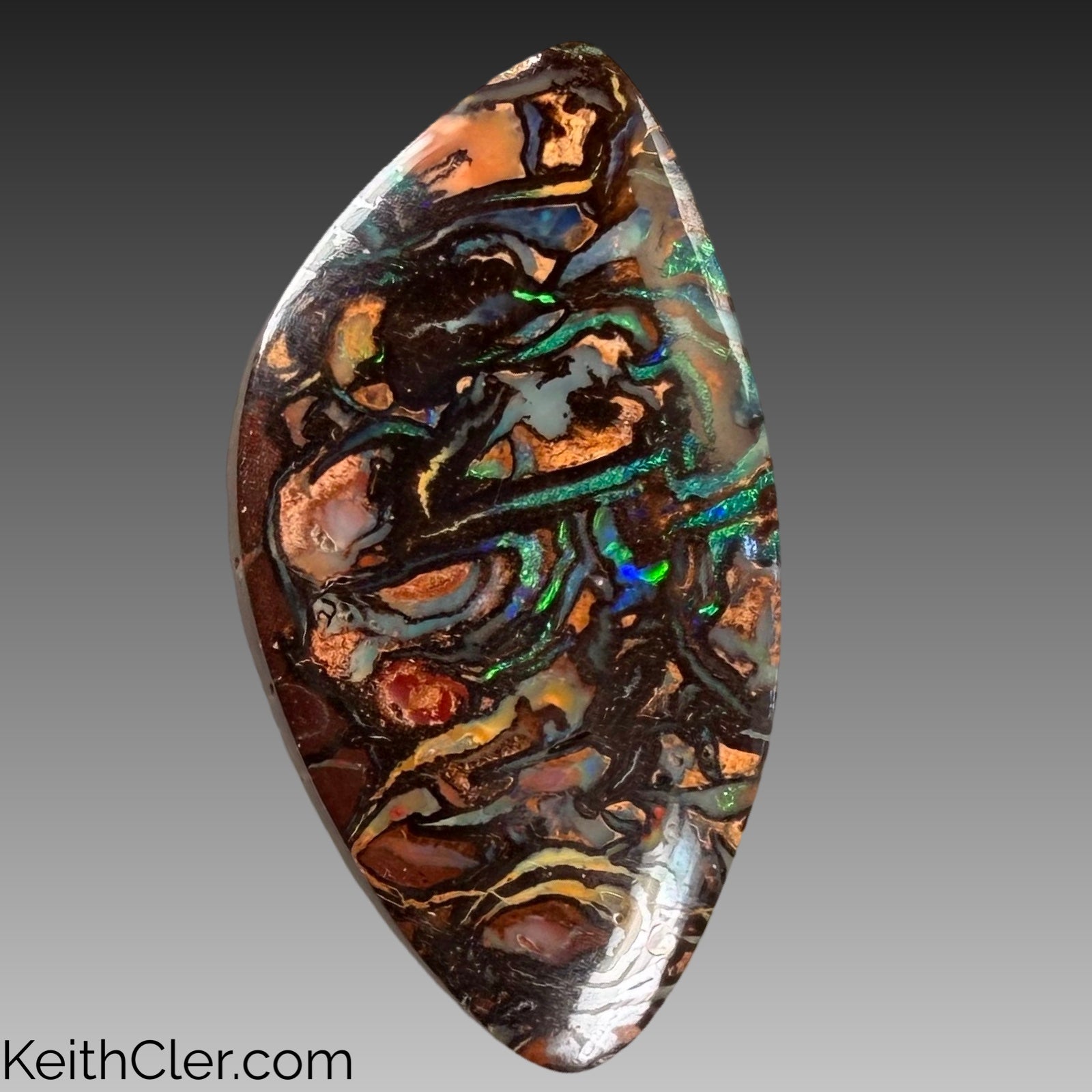 Koroit Opal 12 x 22
