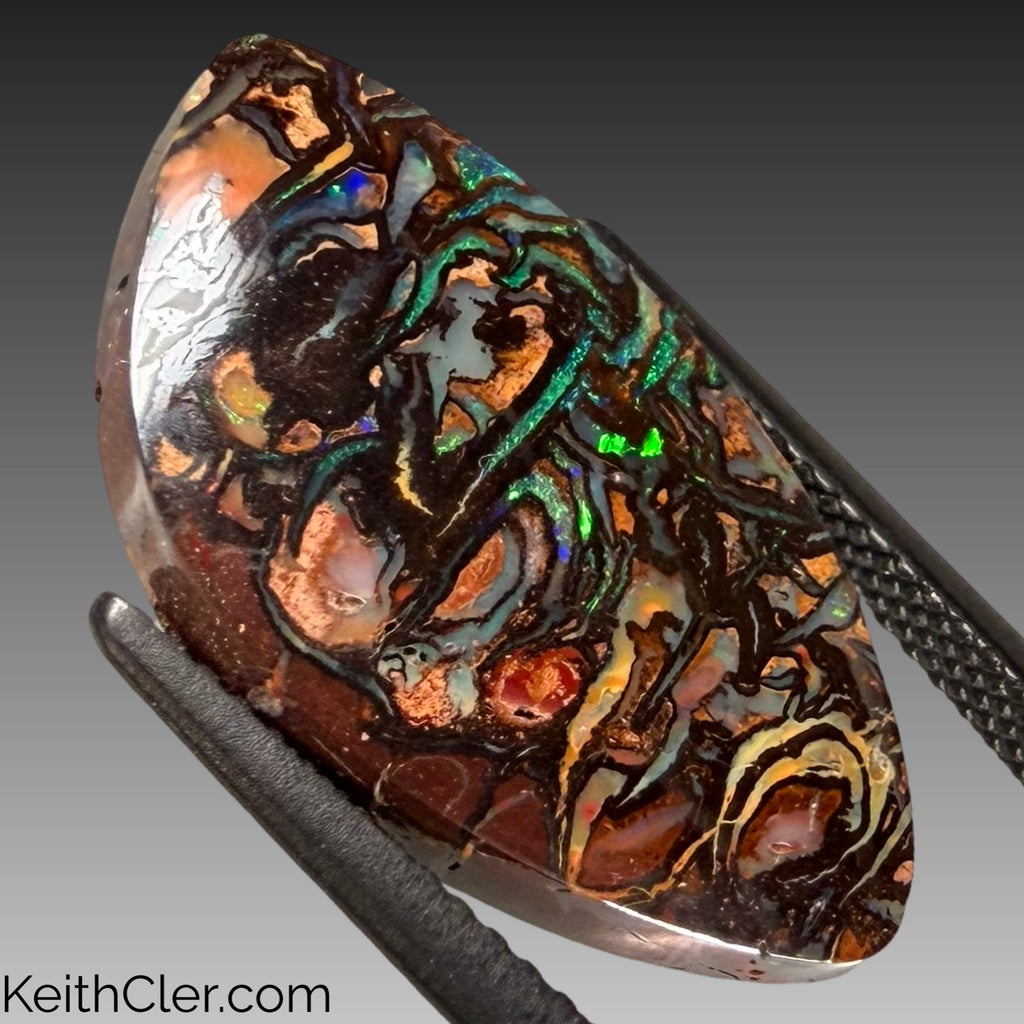 Koroit Opal 12 x 22