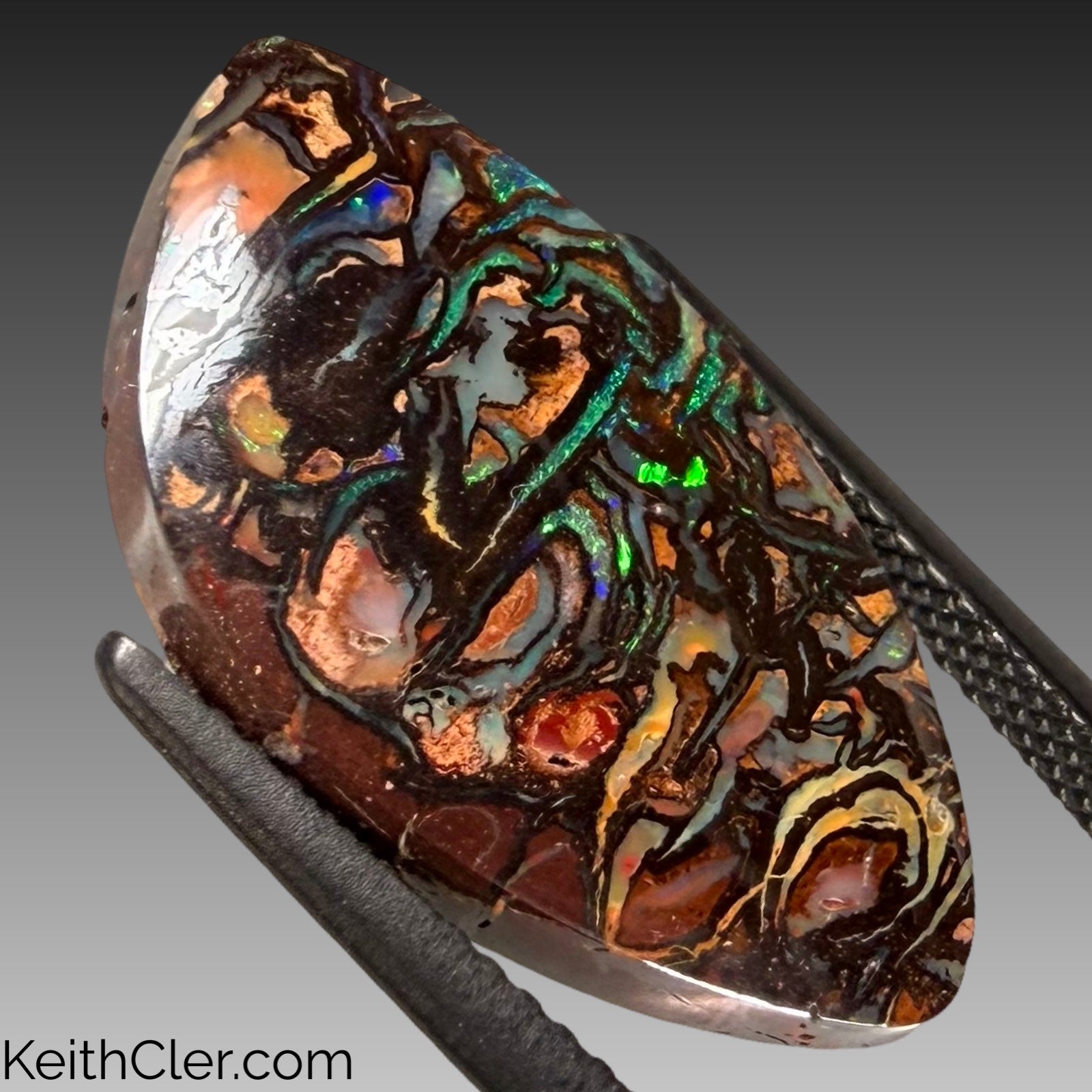 Koroit Opal 12 x 22