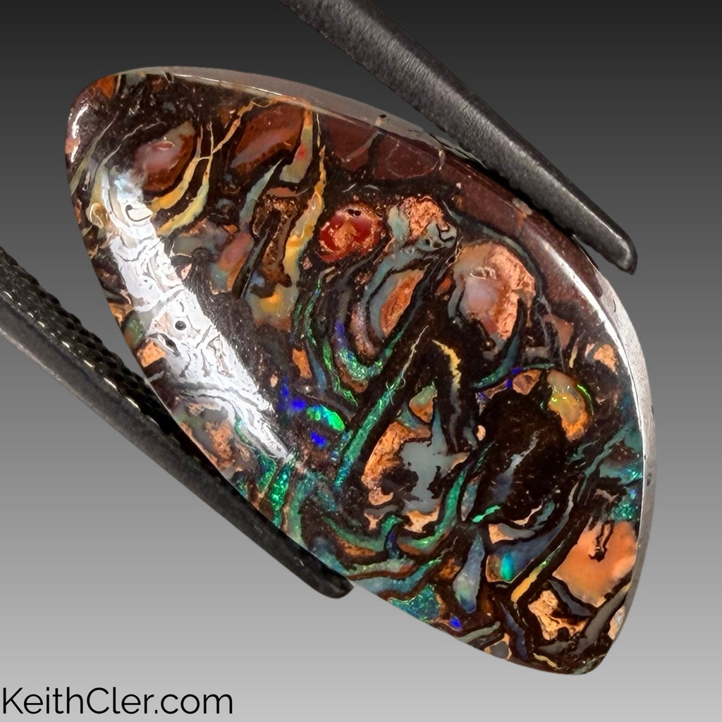 Koroit Opal 12 x 22