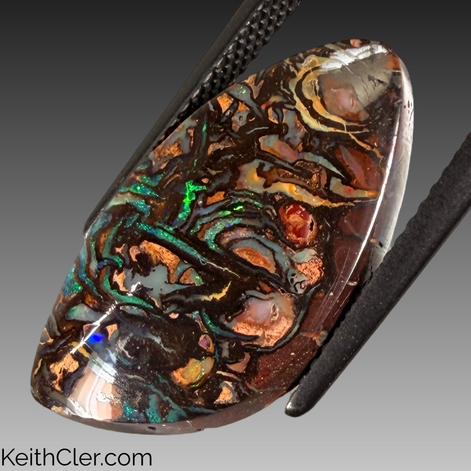 Koroit Opal 12 x 22