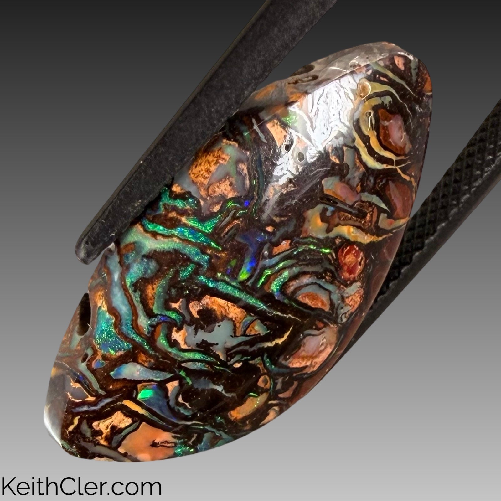 Koroit Opal 12 x 22