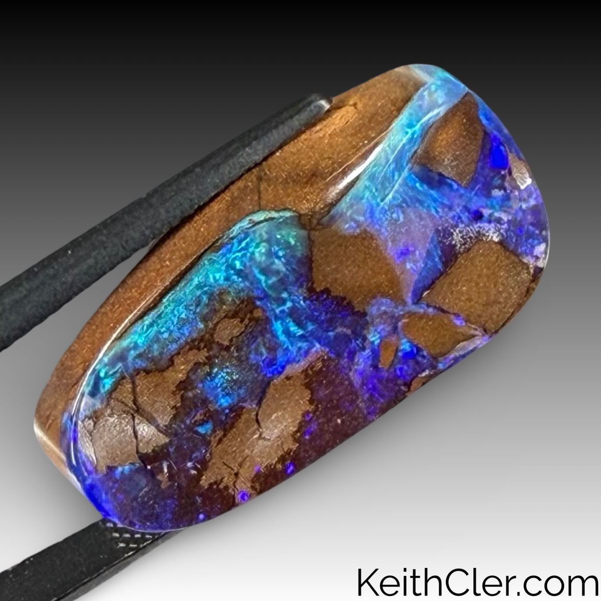 Boulder Opal 16 x 27