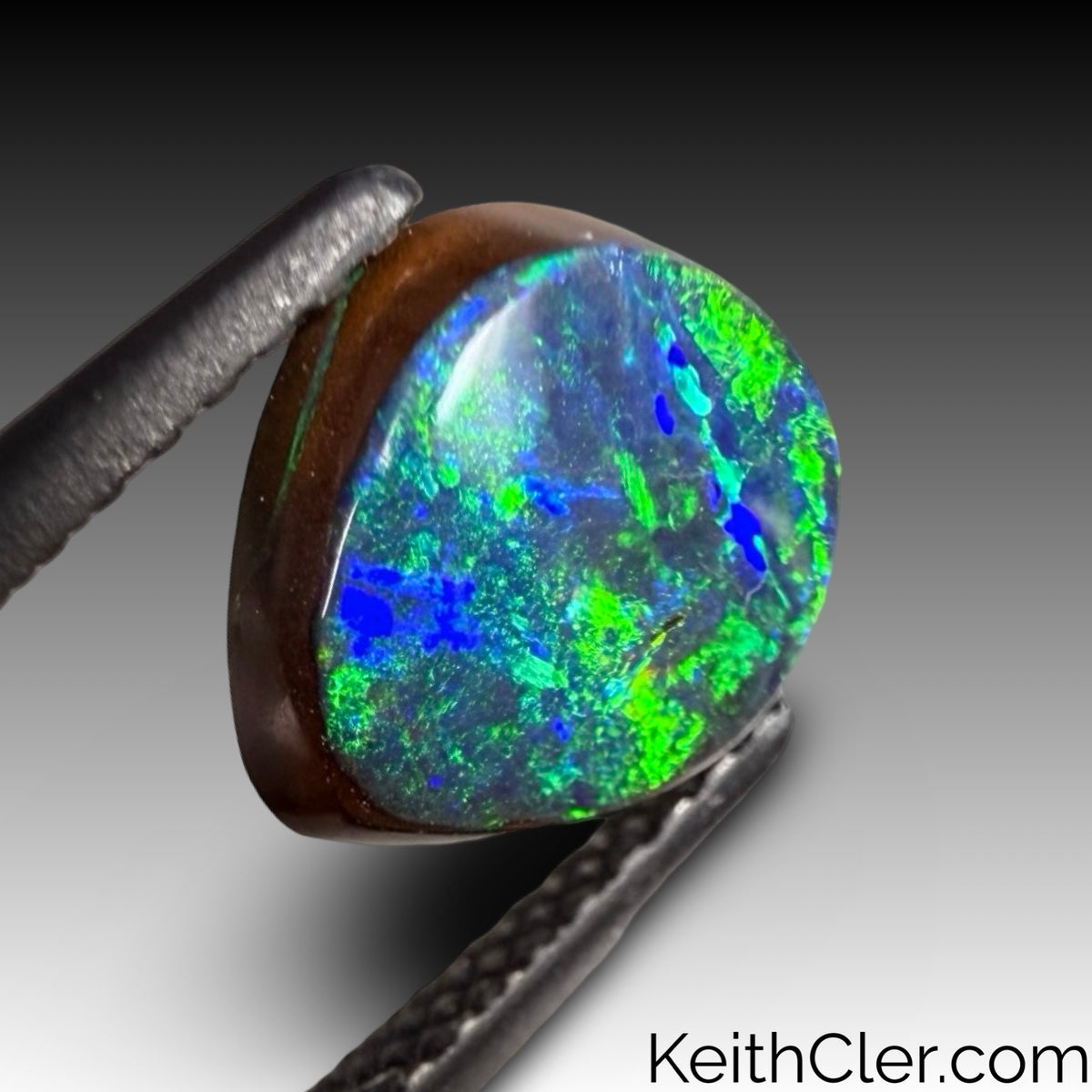 Boulder Opal 8 x 8.5