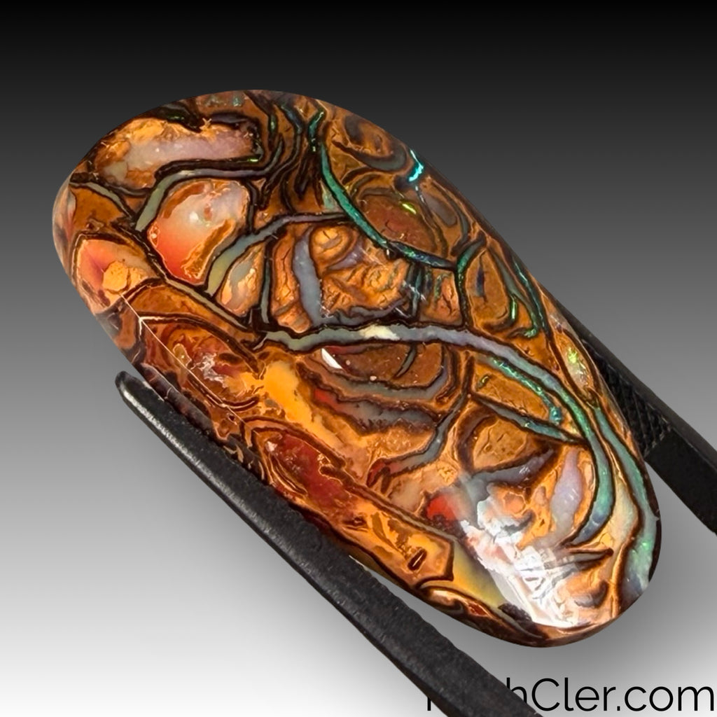Koroit Opal 18 x 31