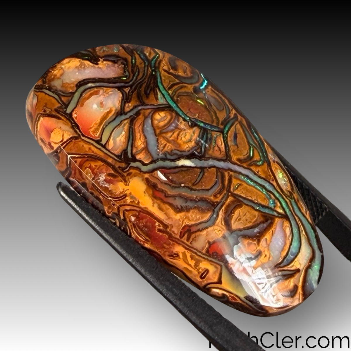 Koroit Opal 18 x 31