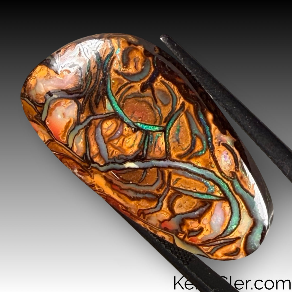 Koroit Opal 18 x 31