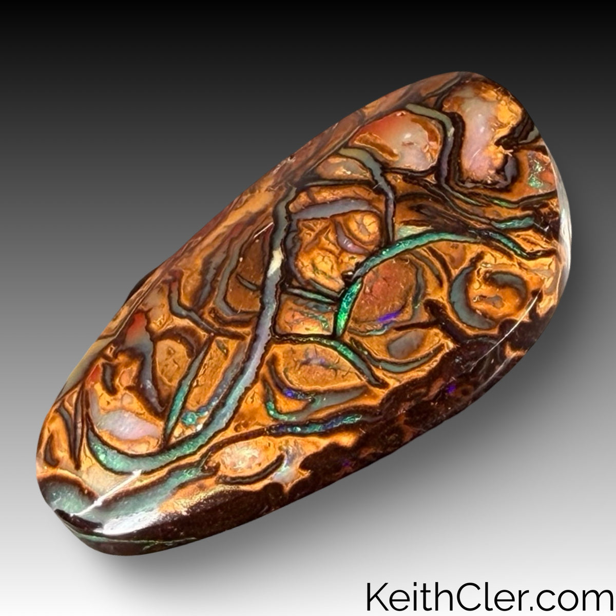 Koroit Opal 18 x 31