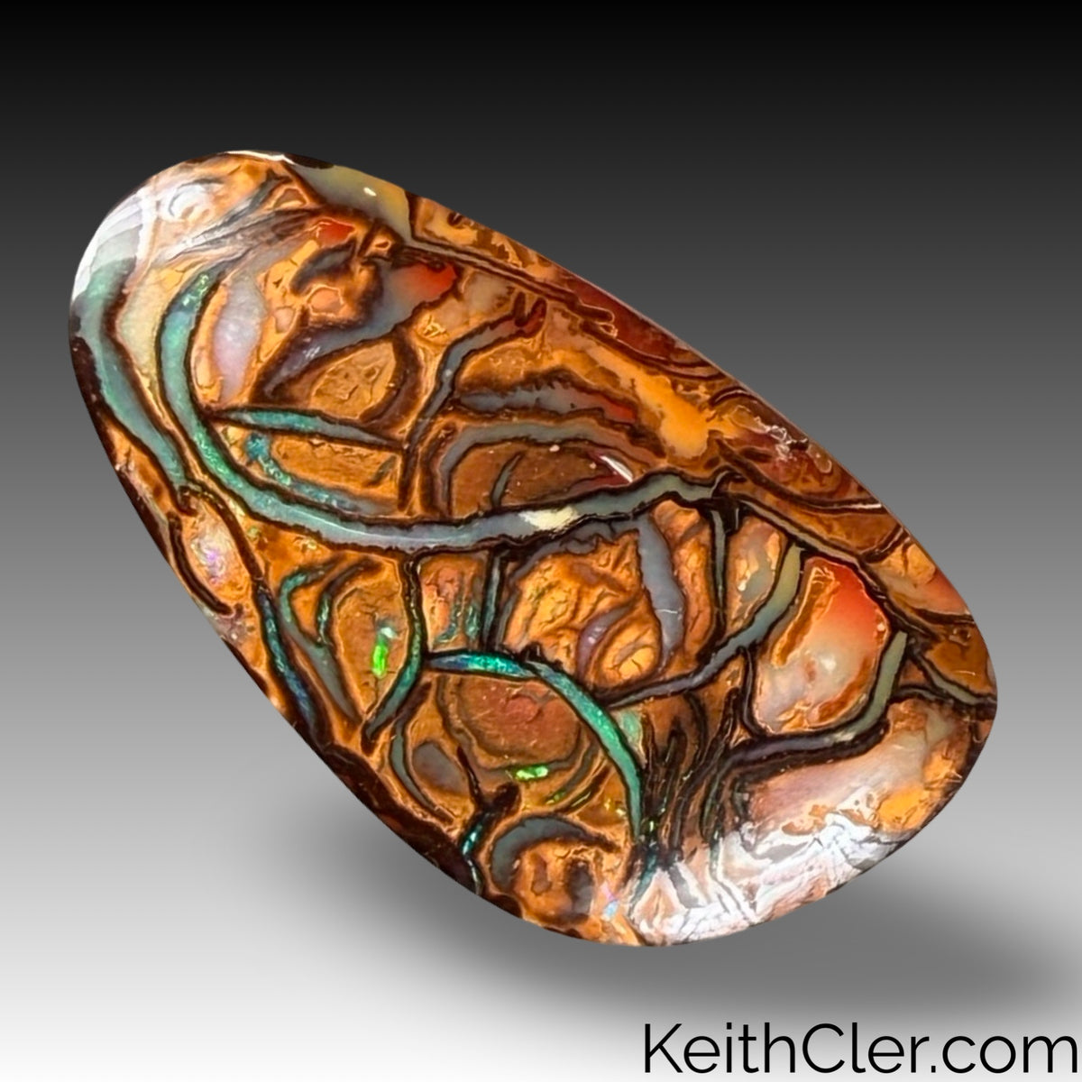 Koroit Opal 18 x 31