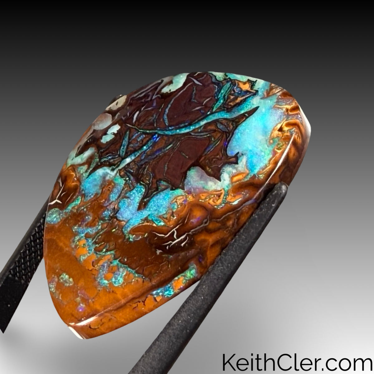 Koroit Opal 17 x 27
