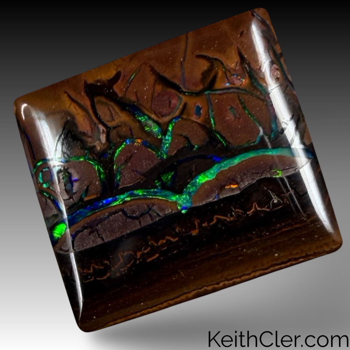 Koroit Opal 15 x 17