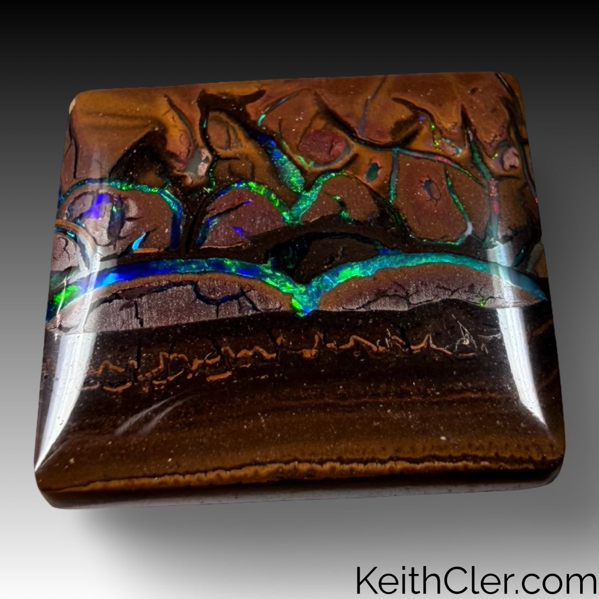 Koroit Opal 15 x 17