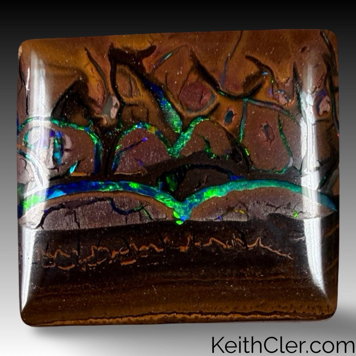 Koroit Opal 15 x 17