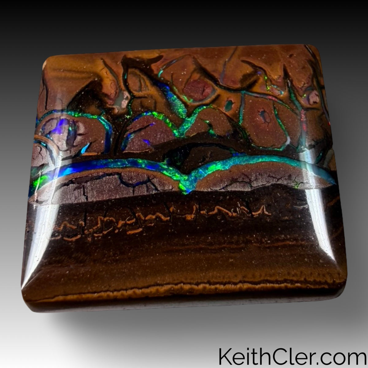 Koroit Opal 15 x 17