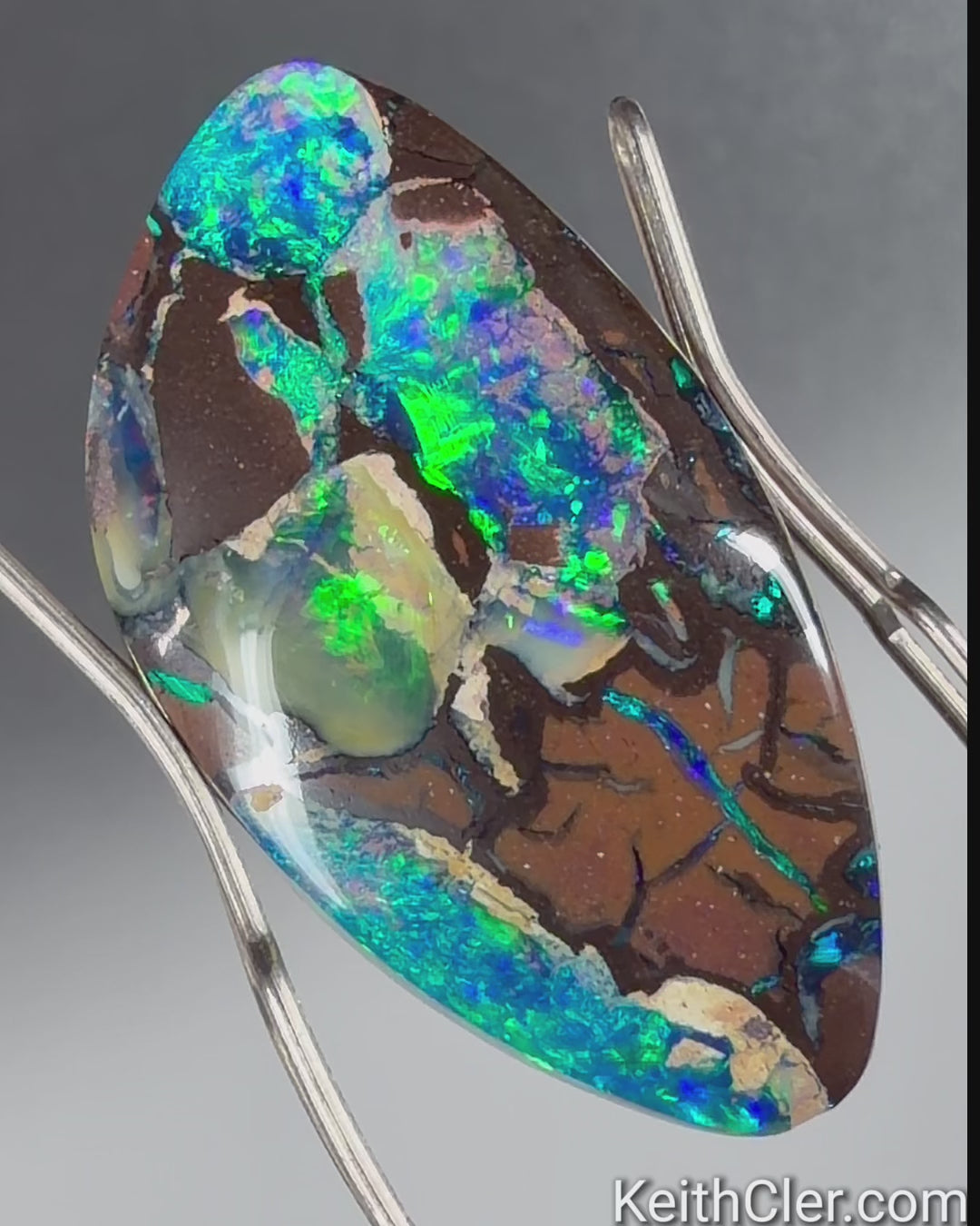 Boulder Opal 13 x 23