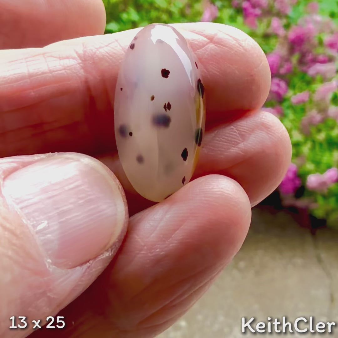 Montana Agate Cabochon - 13mm x 25mm