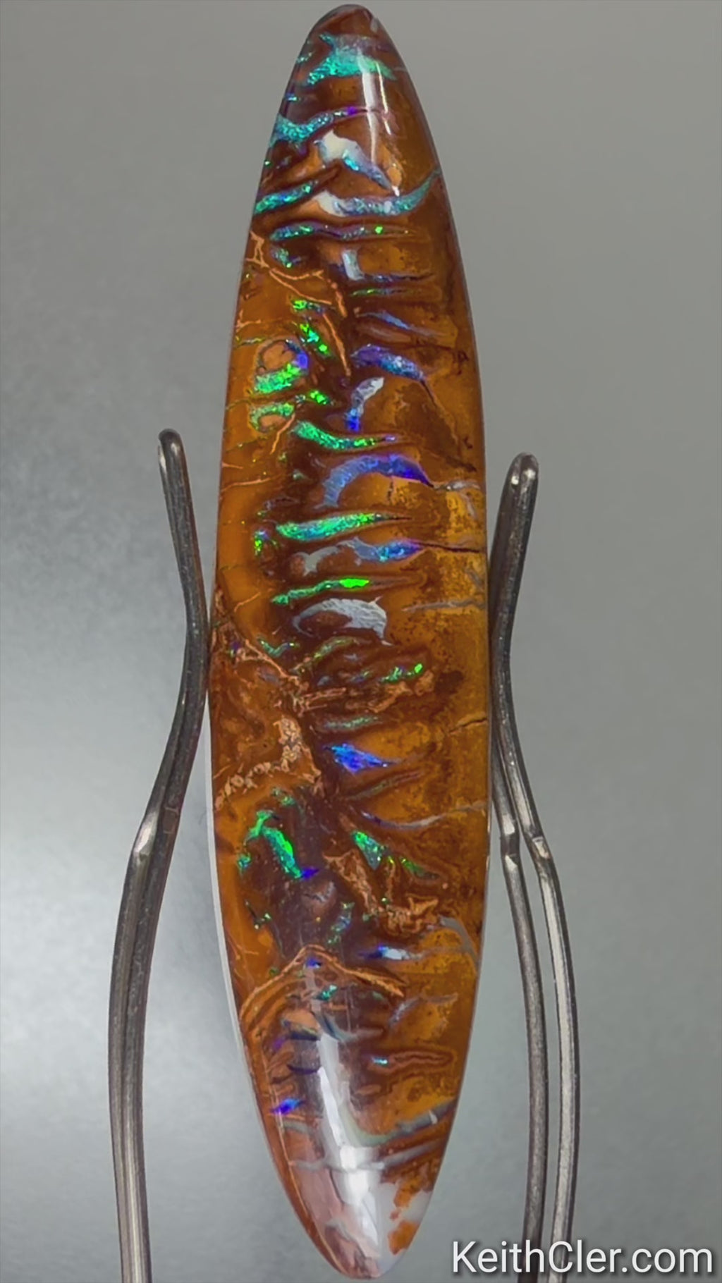 Koroit Opal 8 x 37