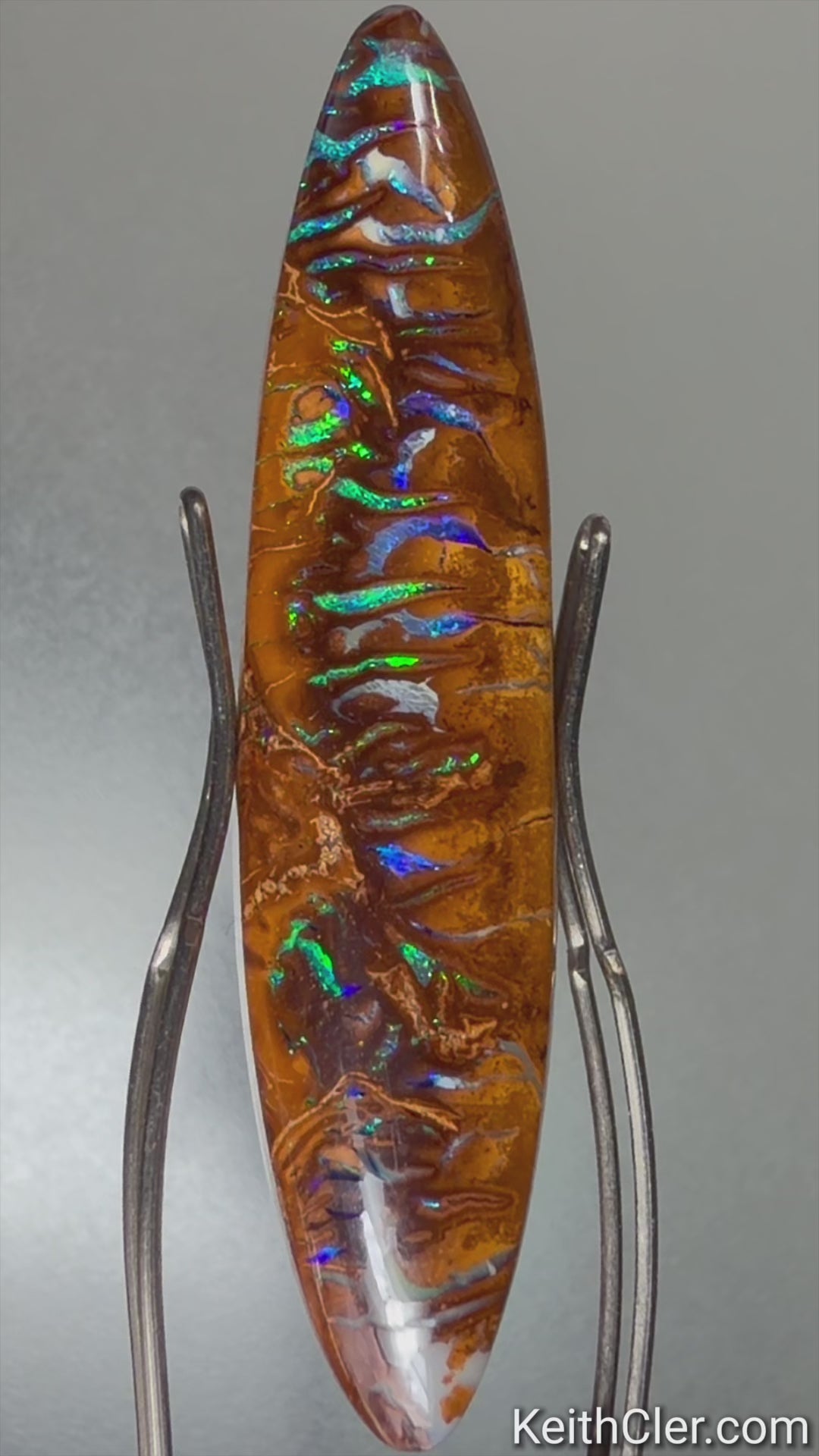 Koroit Opal 8 x 37